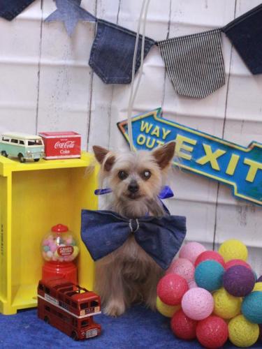 20230415ココちゃん